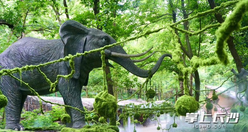 “绿野仙踪”主题场景宛如一幅徐徐展开的梦幻画卷。 “绿野仙踪”主题场景宛如一幅徐徐展开的梦幻画卷。