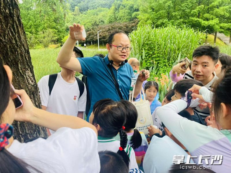孩子们跟随范雄伟教授当“生态侦探”。 均为长沙晚报通讯员邹扬供图 孩子们跟随范雄伟教授当“生态侦探”。 均为长沙晚报通讯员邹扬供图