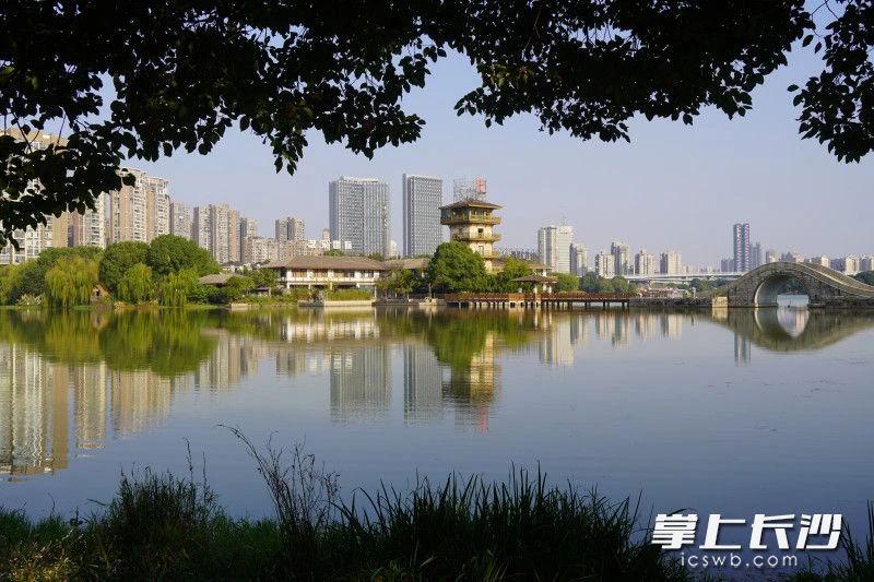 风光优美的月湖，为众多文创行业从业者提供了灵感。刘润泽 摄