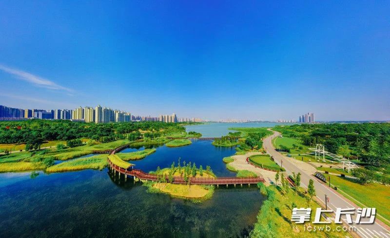 松雅湖国家湿地公园不仅是鸟类的天堂，也是湿地保护教育的课堂。章帝 摄
