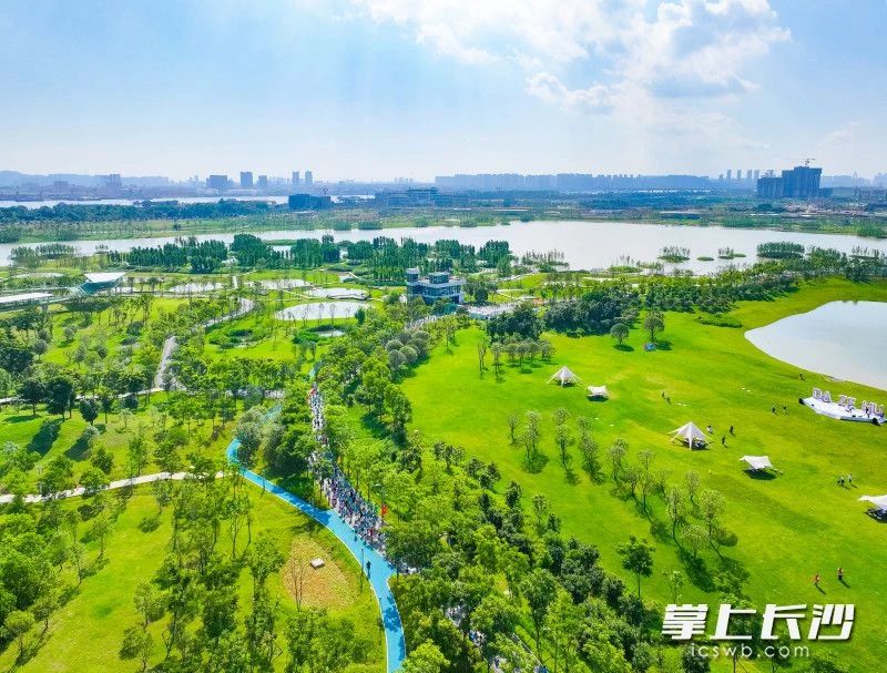 大泽湖近自然湿地公园为大泽湖片区增光添彩，吸引一批优质项目落户片区。邹麟 摄