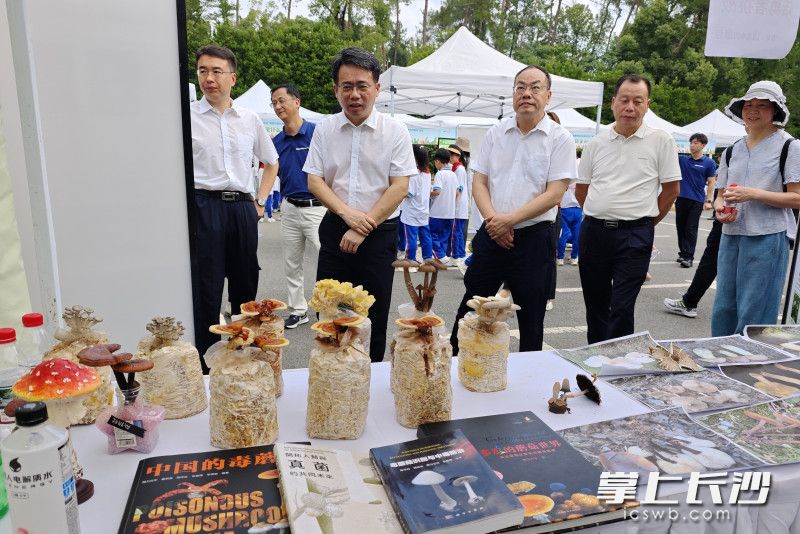 活动以“自然是最好的老师”为主题。
