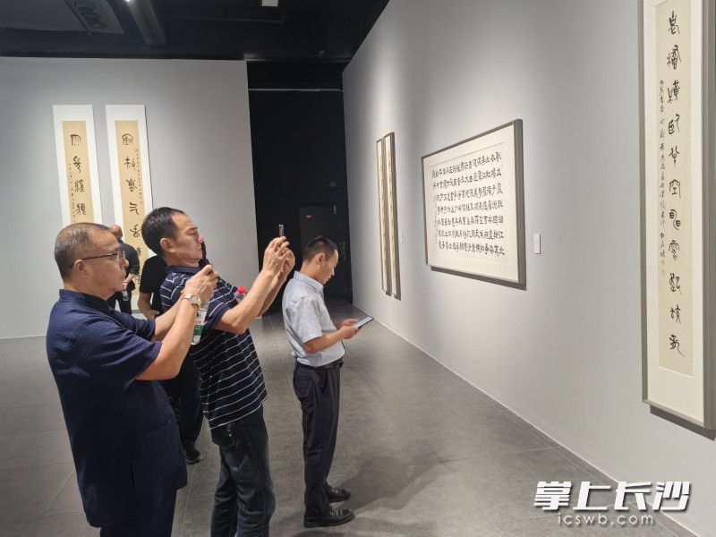 观众聚集作品。