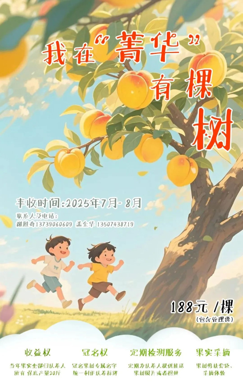 “我在‘菁华’有棵树”认领海报。