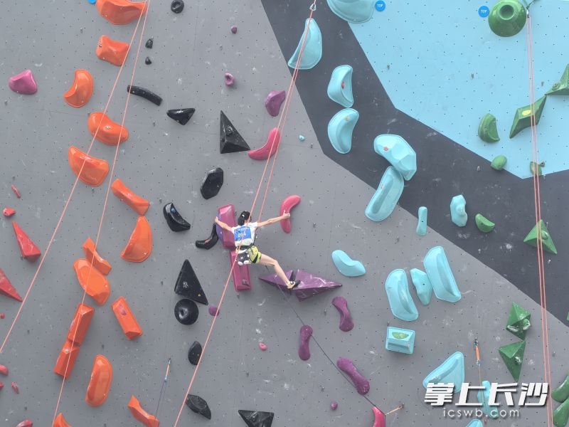 市运会攀岩（青少年组）比赛。均为长沙晚报全媒体记者 赵紫名 摄
