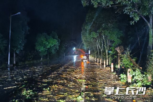 倒树清理完毕，道路恢复通行。均为长沙晚报通讯员供图