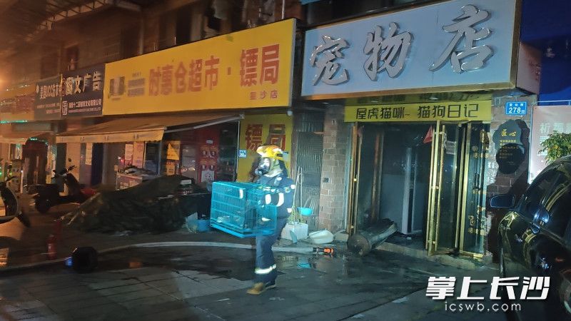 消防员将被困宠物救出，30余只萌宠安然无恙。 