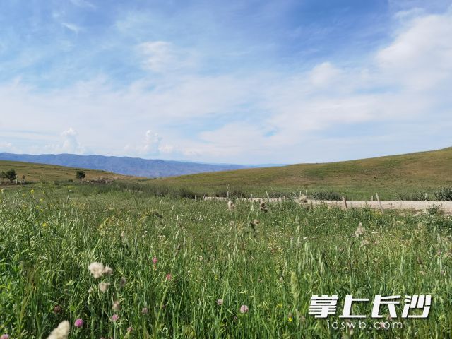随着降雨减弱，前期被压制的气温将逐渐回升。长沙晚报全媒体记者 舒元臻 摄