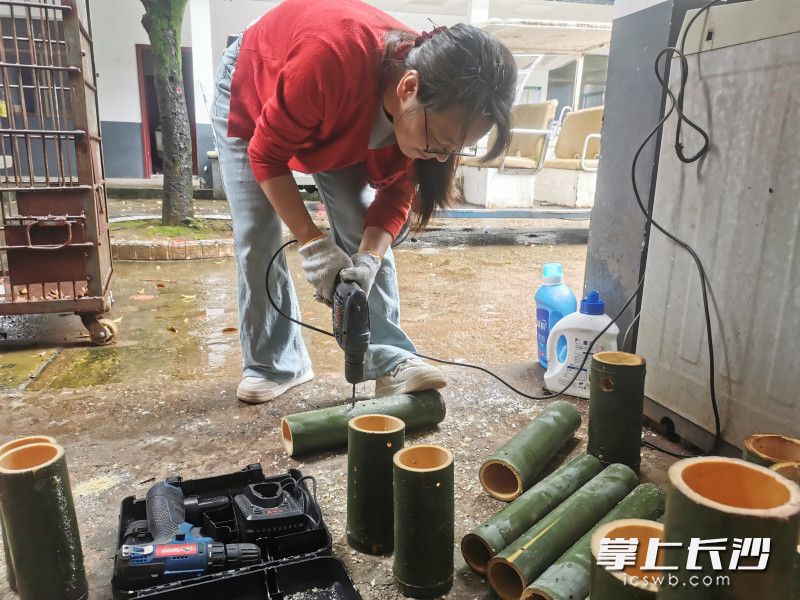 园林师在制作盛饭器。均为长沙晚报全媒体记者 贺文兵 通讯员 周灵 摄影报道 园林师在制作盛饭器。均为长沙晚报全媒体记者 贺文兵 通讯员 周灵 摄影报道