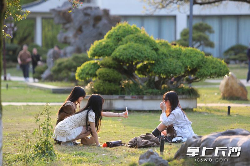 市民在湖南烈士公园芳草园游玩。均为长沙晚报全媒体记者 贺文兵 摄 市民在湖南烈士公园芳草园游玩。均为长沙晚报全媒体记者 贺文兵 摄