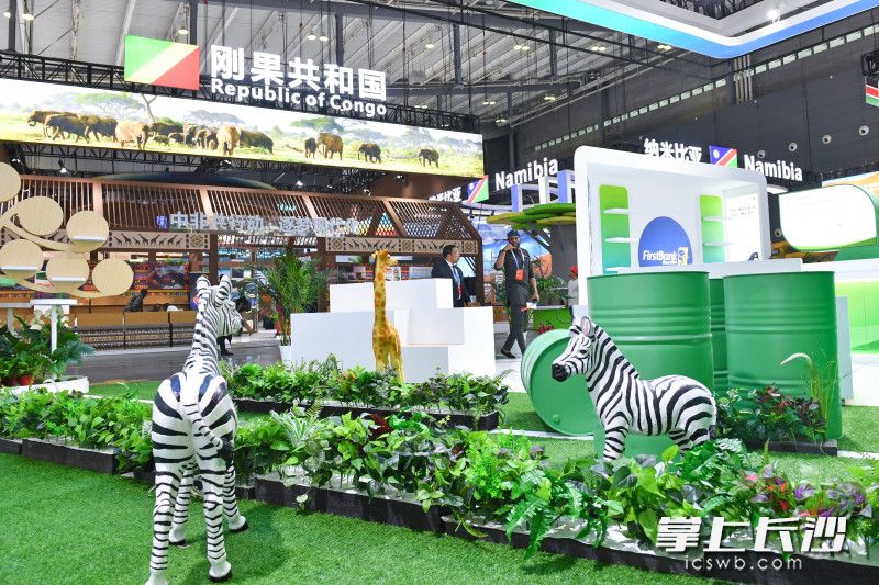 各具特色的非洲国家特色馆。