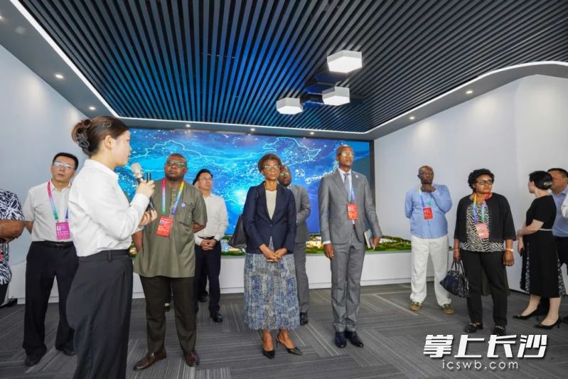 10日，中非经贸博览会代表团20余人走进中伟股份位于宁乡的新能源材料产业基地，开启了一场科技创新与产业发展的考察之旅。受访者供图