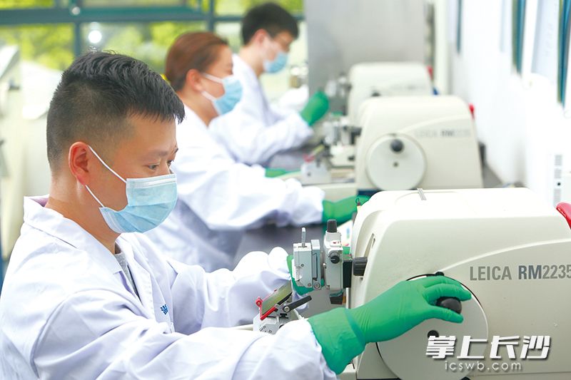 普瑞玛的实验楼内拥有多种精密仪器，为药企提供创新药物、特殊食品、医疗器械的研发服务。
