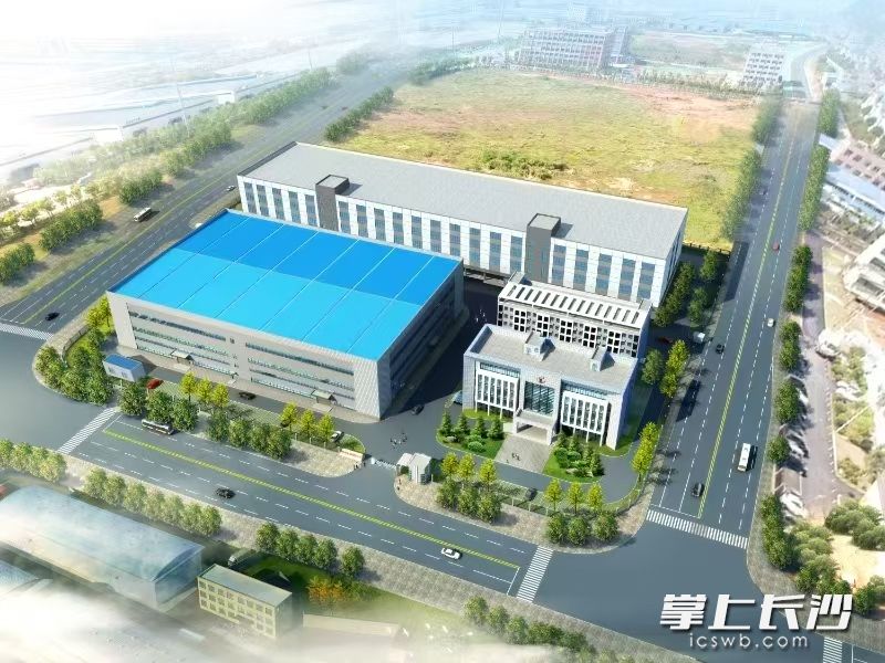 项目效果图。