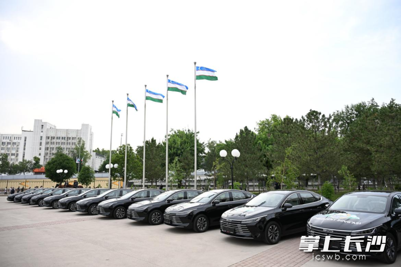 作为国家级嘉奖的比亚迪汽车整装列队。