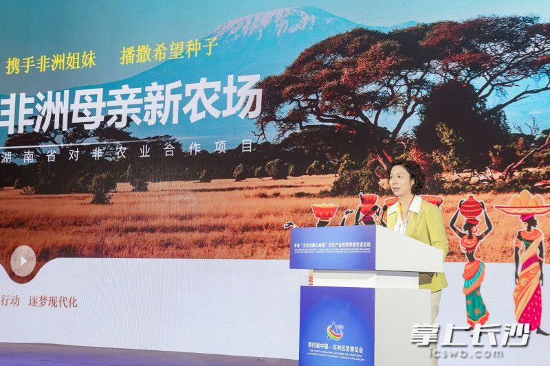 省妇联主席杨兰英隆重推介湖南省对非农业合作项目“非洲母亲新农场”。