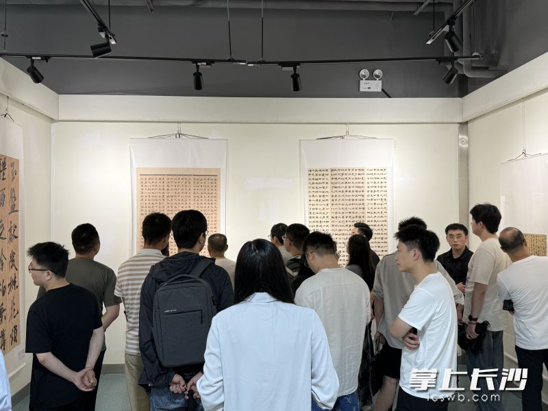 观展现场。