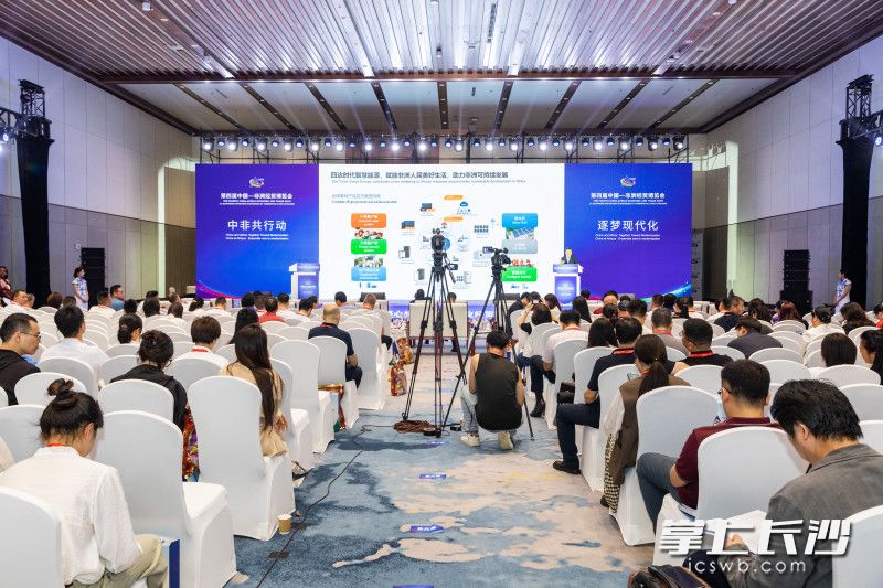 中非“文化丝路心相通”文化产业经贸对接交流活动。长沙晚报全媒体记者 董阳 摄