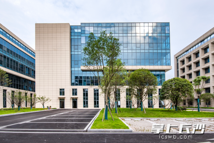 东山湾智创产业园。 东山湾智创产业园。