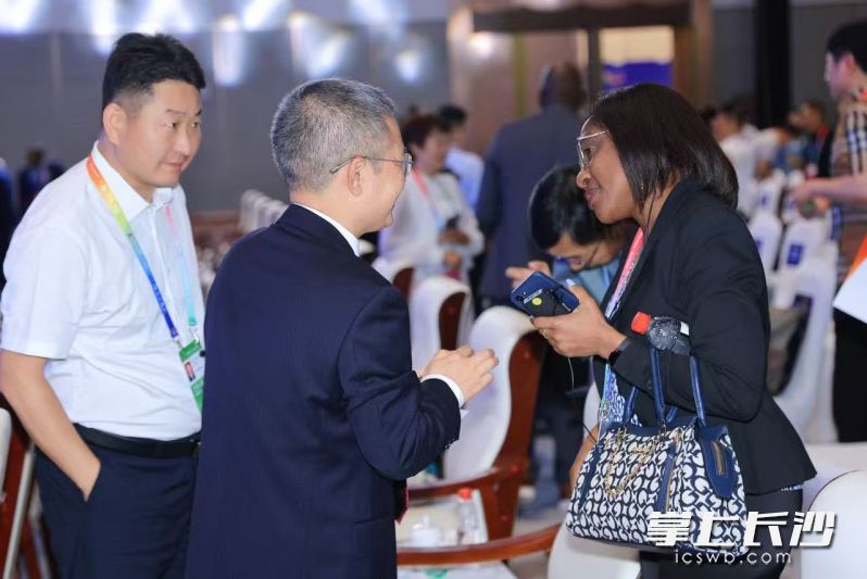 中非企业合作洽谈。