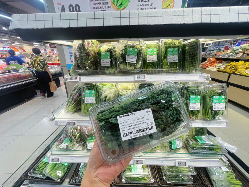“亚非皱叶青菜”堪称羽衣甘蓝的“pro max”版本。均由全媒体记者 范宏欢 摄