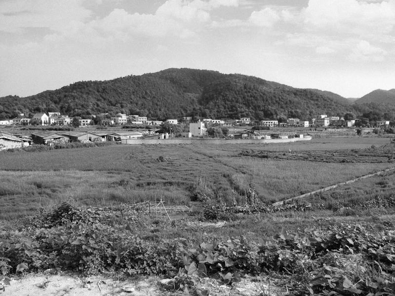 上世纪五十年代，梅溪湖还不叫梅溪湖，而是叫梅子滩，直到1958年，梅子滩修了一座堤，才改称梅溪湖。均为 通讯员 供图