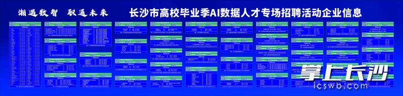 岗位需求将在“长沙人社一码通”“长沙人社12333公众号”发布。均为长沙晚报全媒体记者 刘军 摄