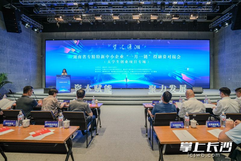 湖南省专精特新中小企业“一月一链”投融资对接会现场。均为长沙晚报通讯员 贺喜迎 供图。