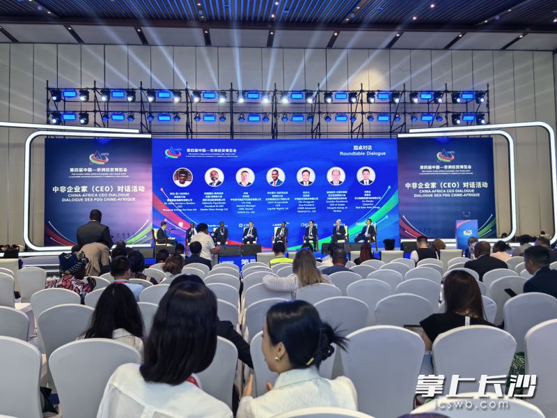 中非企业家（CEO）高峰对话会在长沙举行。 长沙晚报全媒体记者 陈星源 摄