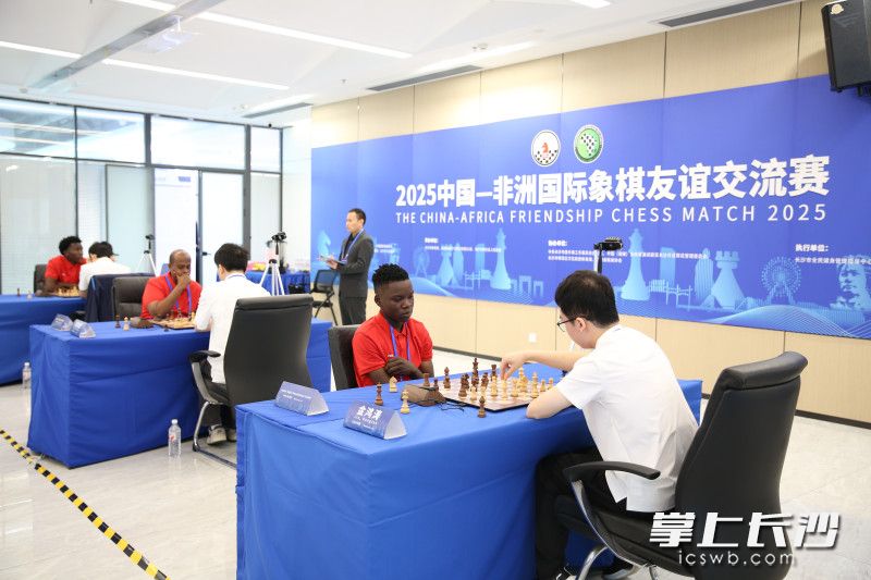 中国-非洲国际象棋友谊交流赛在第四届中非经贸博览会高桥分展馆展开精彩角逐。 均为长沙晚报全媒体记者周游、通讯员高兴摄