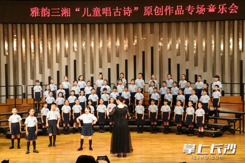 音乐会现场。 音乐会现场。