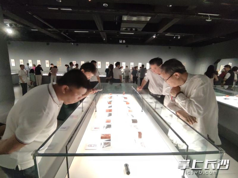 观展者认真观看作品。