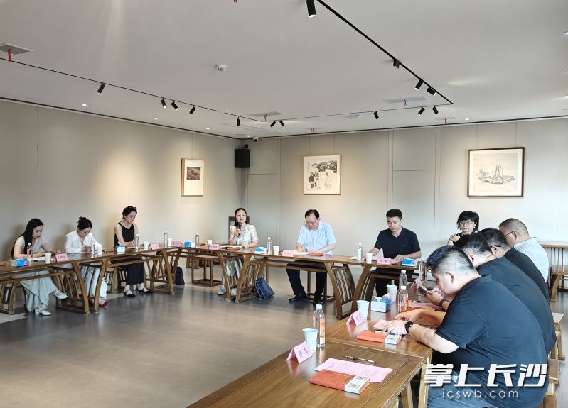 座谈会现场。 长沙晚报全媒体记者 陈妙琼 摄