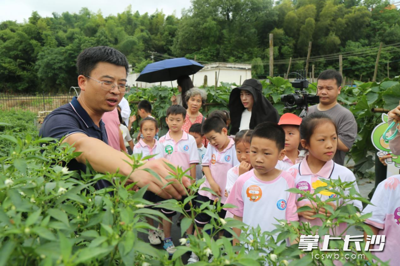 专家为孩子们科普。 均为长沙晚报通讯员吴雯芳供图