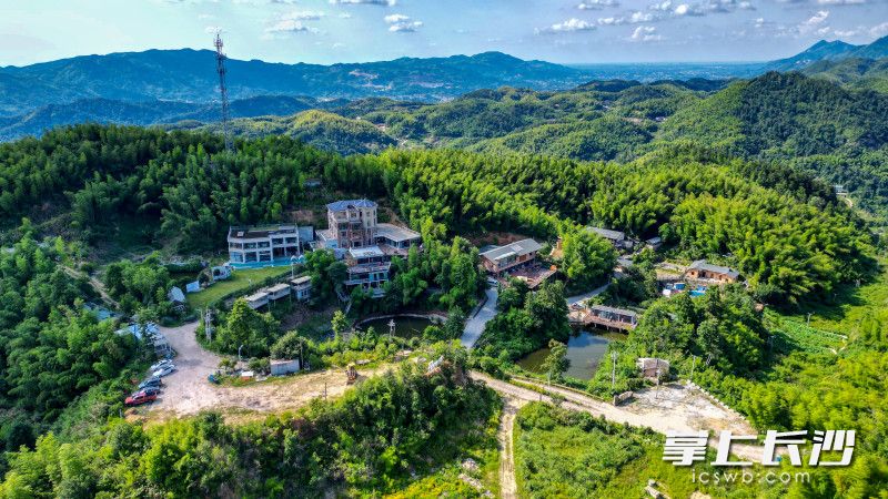 曾经因水库修建而逐渐空心化的黑麋峰新屋山组，如今正上演着令人惊叹的“变形记”。均为长沙晚报全媒体记者 易亿 摄