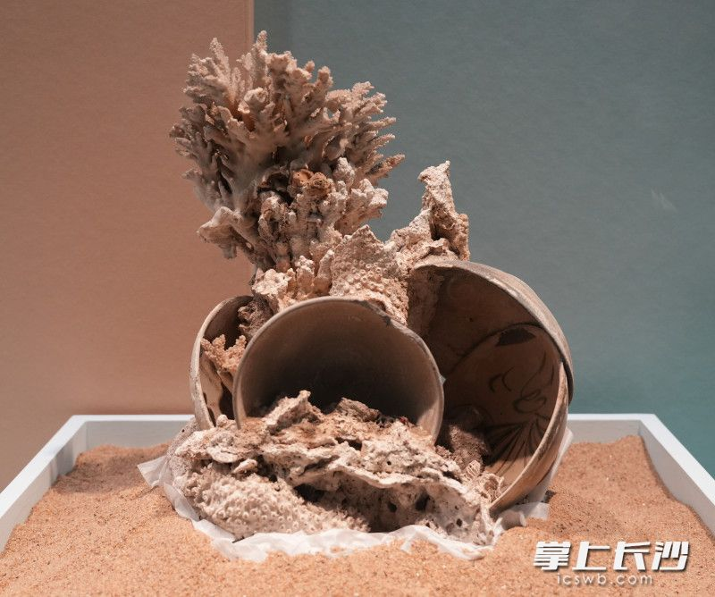 黑石号沉船出水的青釉褐斑彩绘瓷碗（带珊瑚）。