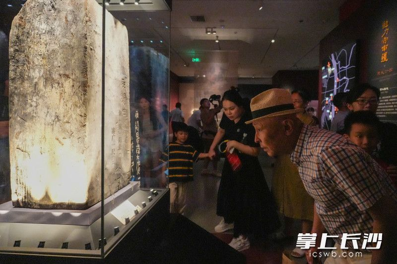 游客市民正在观看展览。