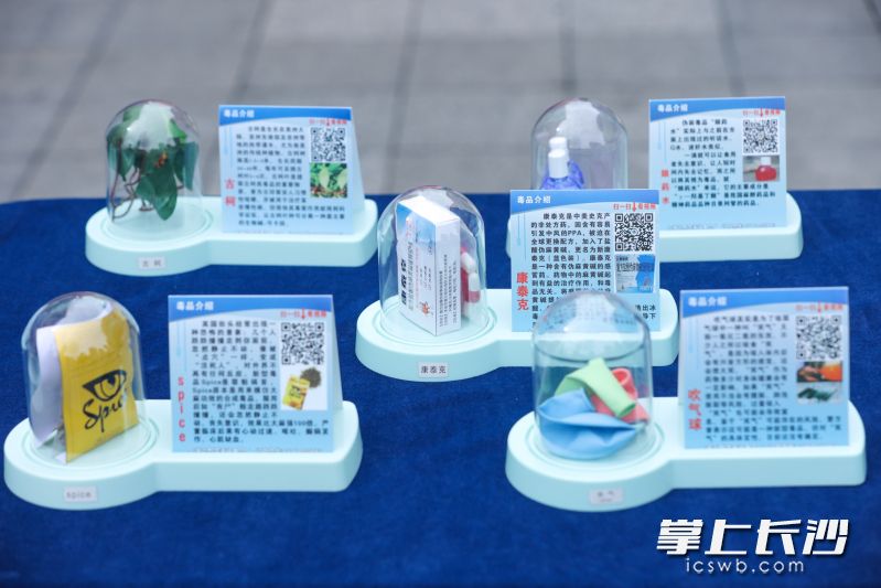 现场展示的易被滥用药物模型。