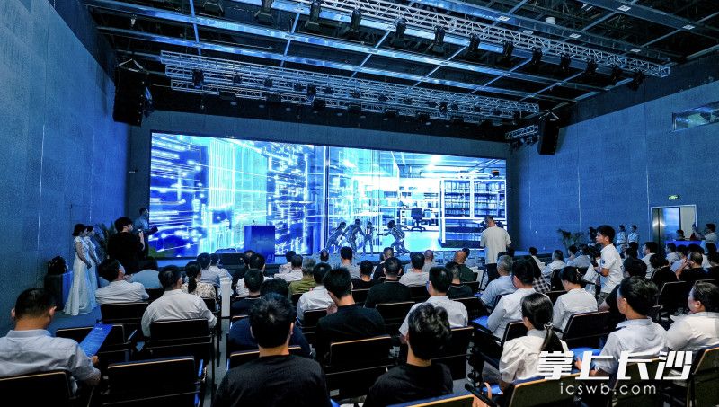 2025年湖南省全民数字素养与技能提升月启动仪式举行。均为全媒体记者 刘俊 摄