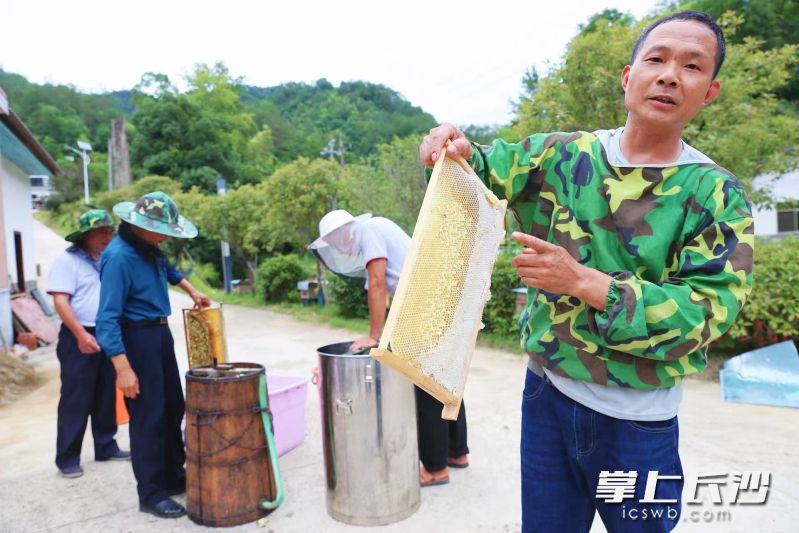 廖能辉介绍，成熟的蜂蜜均被蜜蜂“盖”上了白色的蜜蜡，“二次摇蜜”便是摇取这些高品质蜂蜜。
