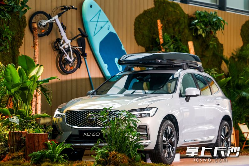 沉浸式体验让全新沃尔沃XC60的发布别具一格。 沃尔沃供图