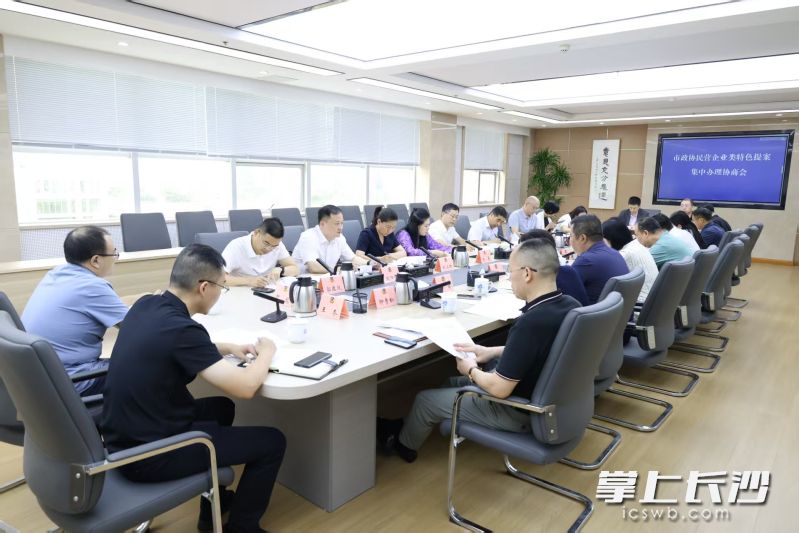长沙市政协召开民营企业类特色提案集中办理协商会。长沙晚报通讯员 陈婉依 摄