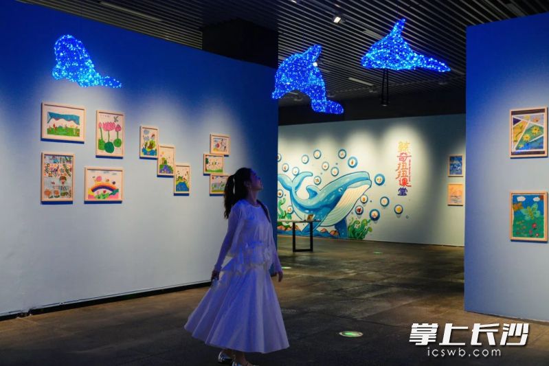 “心灵之壤”展厅一隅。