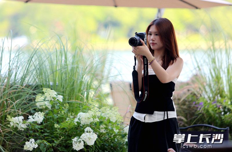 定格美丽花意。