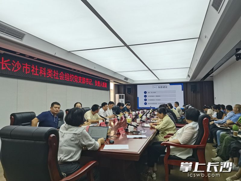 2025年长沙市社科类社会组织党支部书记、负责人培训会召开。通讯员 孔玲 供图