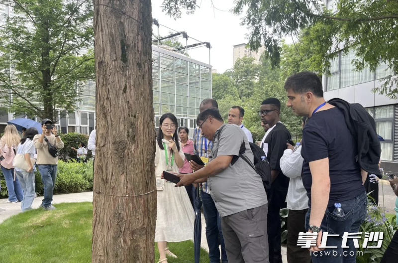 学员在一起分享交流。