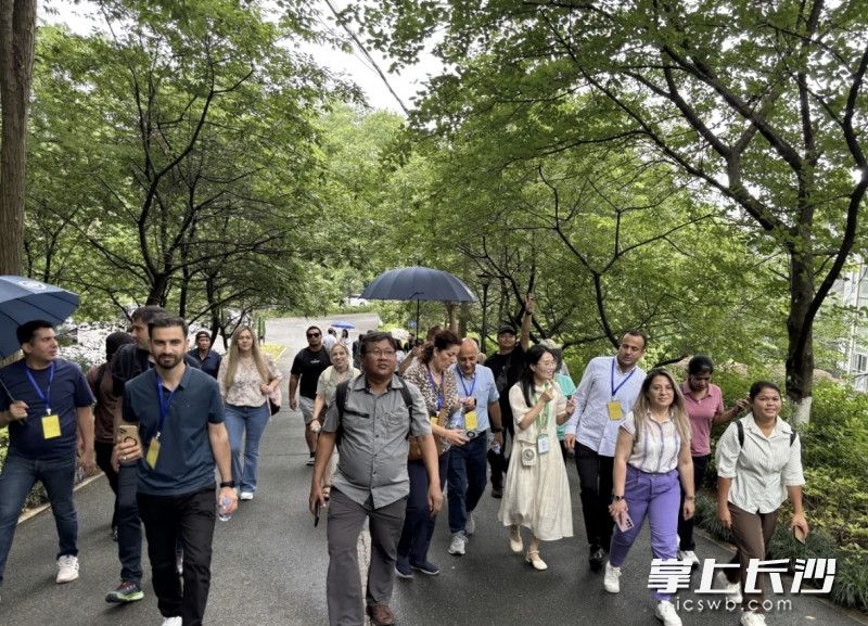 参加培训的学员在参观湖南省植物园。均为公园供图