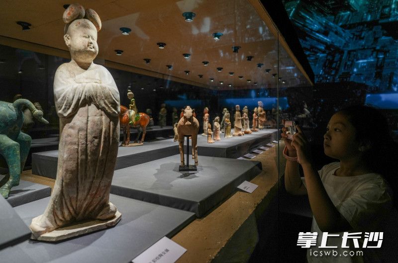 展览现场。