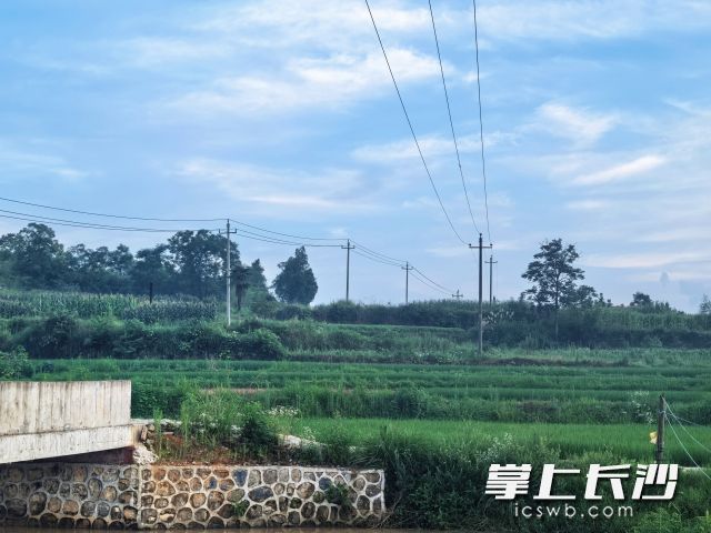及时关注天气变化，合理安排生活及出行。 长沙晚报全媒体记者 舒元臻摄