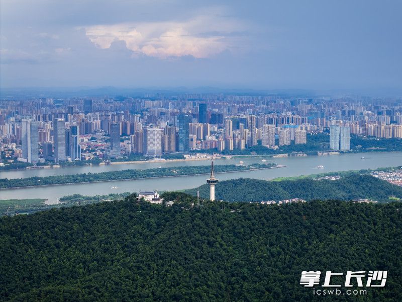 雷阵雨过后，阳光回归。